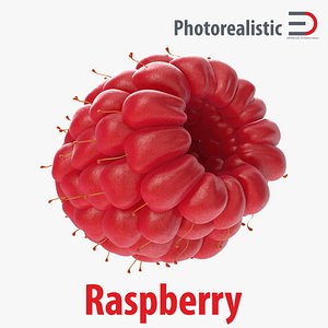 raspberry 4 3d c4d