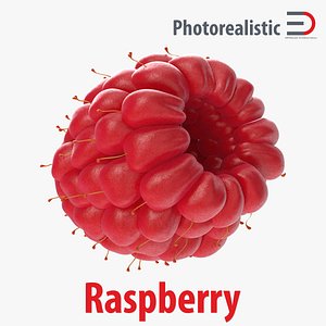 Raspberry 4