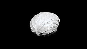 Cabbage 3D CT scan model 3D model