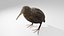 3D model Kiwi bird Obj and Blend