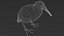 3D model Kiwi bird Obj and Blend