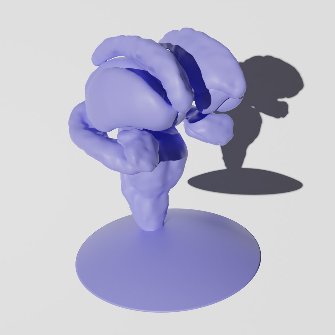Human Subcortex From MRI Scan 3D Model - TurboSquid 1849263