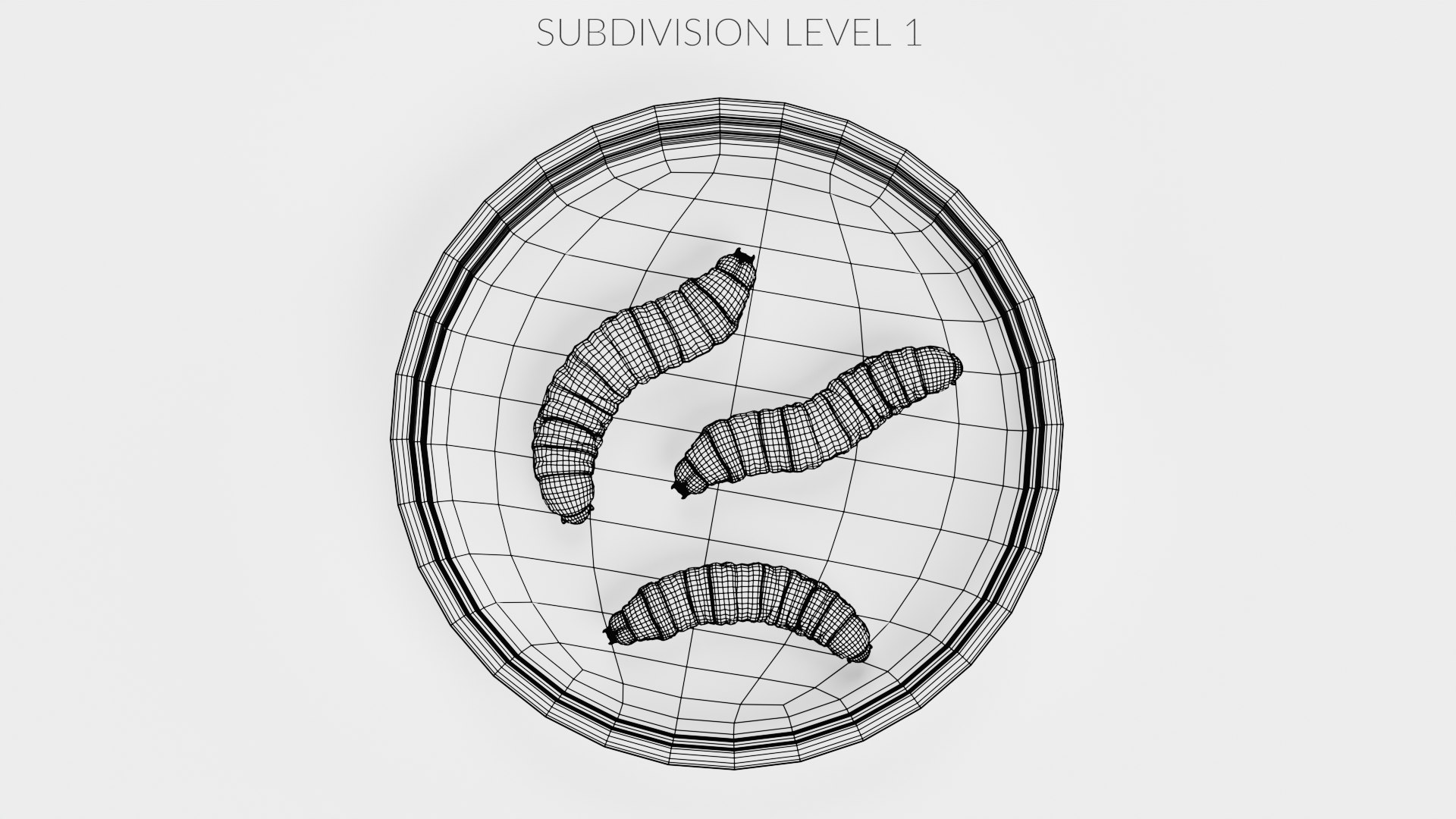 Petri Dish with Worms 3D model https://p.turbosquid.com/ts-thumb/bG/KPwDai/Bd/petridishwithwormsw3/png/1693399675/1920x1080/fit_q87/ce6671301227e996d049827f4cc23191cc889594/petridishwithwormsw3.jpg