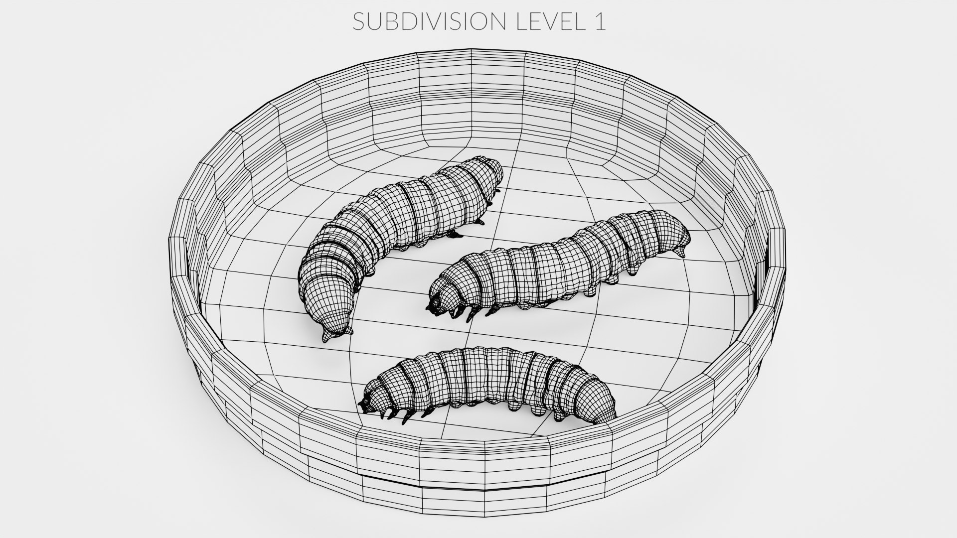 Petri Dish with Worms 3D model https://p.turbosquid.com/ts-thumb/bG/KPwDai/EZ/petridishwithwormsw1/png/1693399674/1920x1080/fit_q87/195873dc4d8e3fb10d61974b6df142f826e5e703/petridishwithwormsw1.jpg