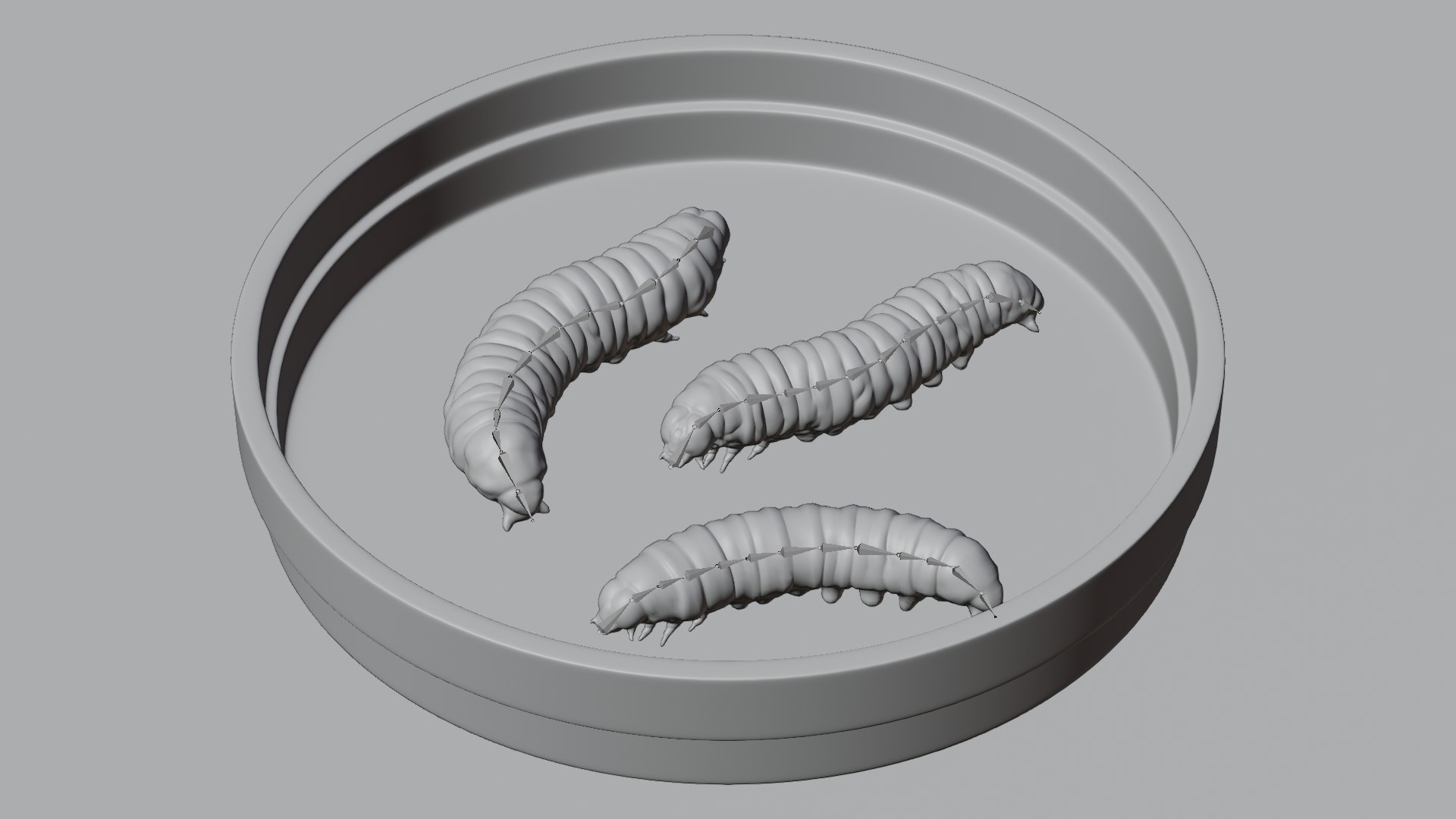 Petri Dish with Worms 3D model https://p.turbosquid.com/ts-thumb/bG/KPwDai/hH/petridishwithwormszrig/png/1693399676/1920x1080/fit_q87/63d294b98de4b6d2366c54424c9fa8a341ca6f1e/petridishwithwormszrig.jpg