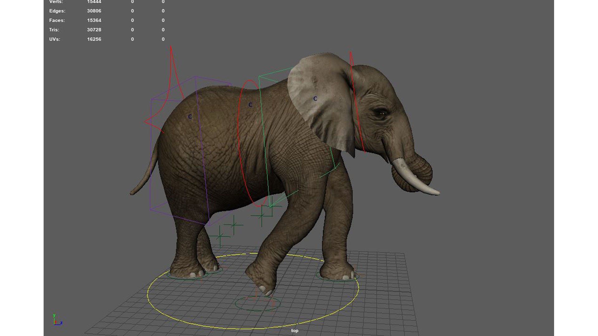 Elephant Animation 3D - TurboSquid 2421889