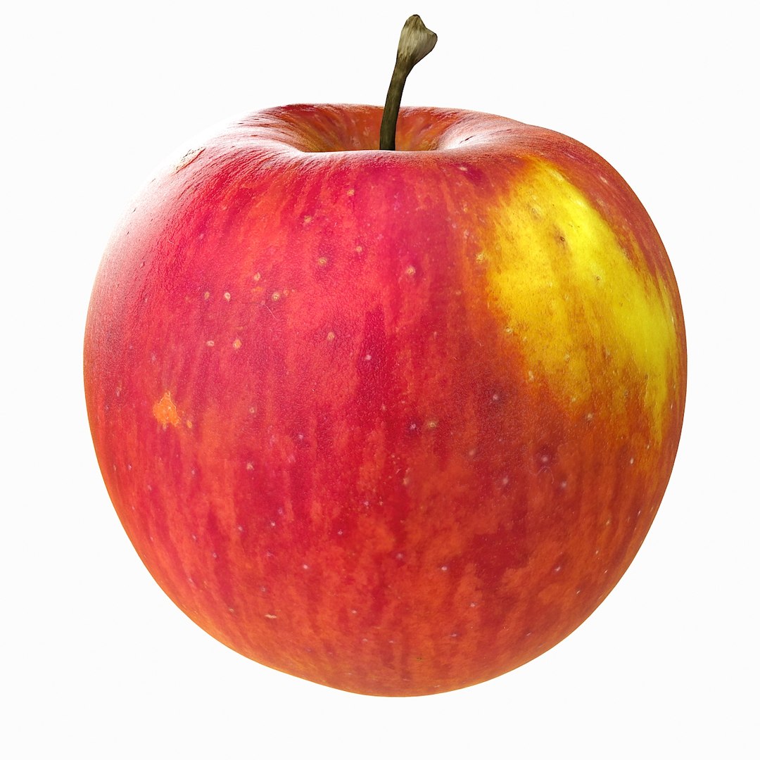 Realistic Normals 3d Model