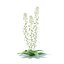 3D wild plants