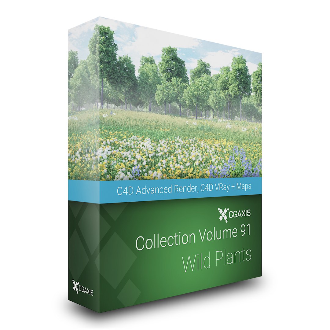 3D wild plants https://p.turbosquid.com/ts-thumb/bG/T9Ggeo/dLl8ZNlt/volume_91_c4d/jpg/1515871390/1920x1080/fit_q87/5bdef76ee4ed9a7712496eef4d993f325331c997/volume_91_c4d.jpg
