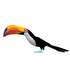 Toucan