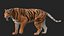 TIGRE