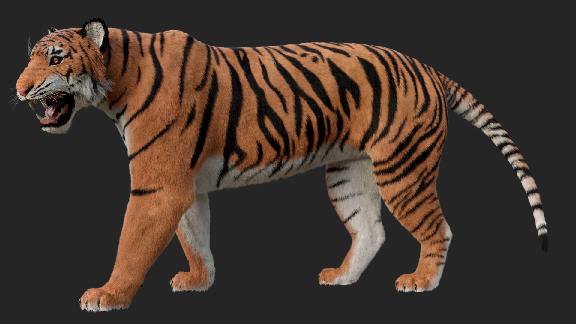TIGER 3D model https://p.turbosquid.com/ts-thumb/bG/YN5x4Z/Hz/2/png/1748773642/1920x1080/fit_q87/29f2a29785df7cba3bf63dab2ea528850a167d11/2.jpg