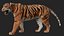 TIGRE