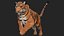 TIGRE