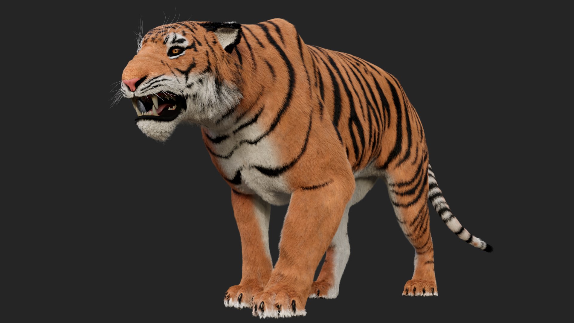 TIGER 3D model https://p.turbosquid.com/ts-thumb/bG/YN5x4Z/jo/7/png/1748773514/1920x1080/fit_q87/5ae631aa5b81ccc9627fbd53d76e38690d765969/7.jpg