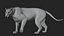 TIGRE