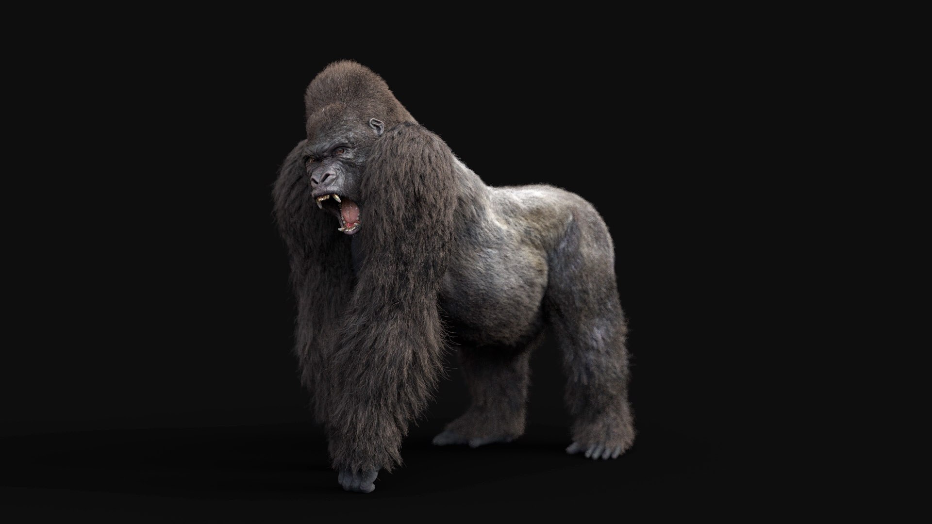 Gorilla Hair Fur Rigged