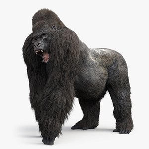 3D model gorilla fur