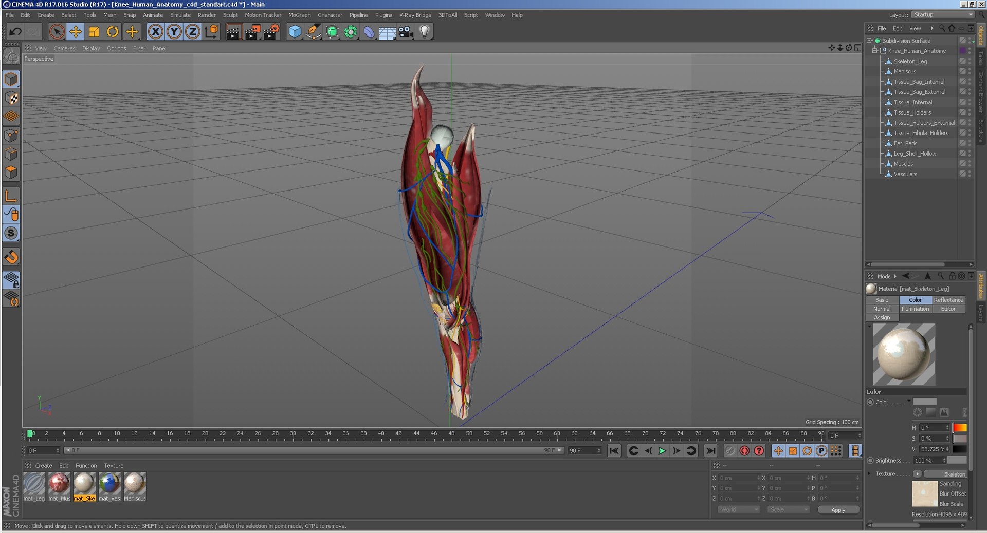 3D Knee Human Anatomy Model - TurboSquid 1619906