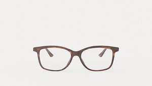 Bottega Veneta BV1028OA Glasses