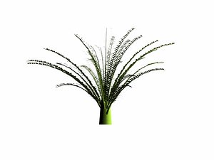 plants trees 3d model