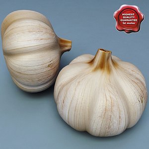 Garlic