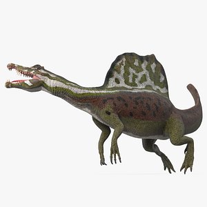 3D Dinosaur Spinosaurus Green Swimming Pose