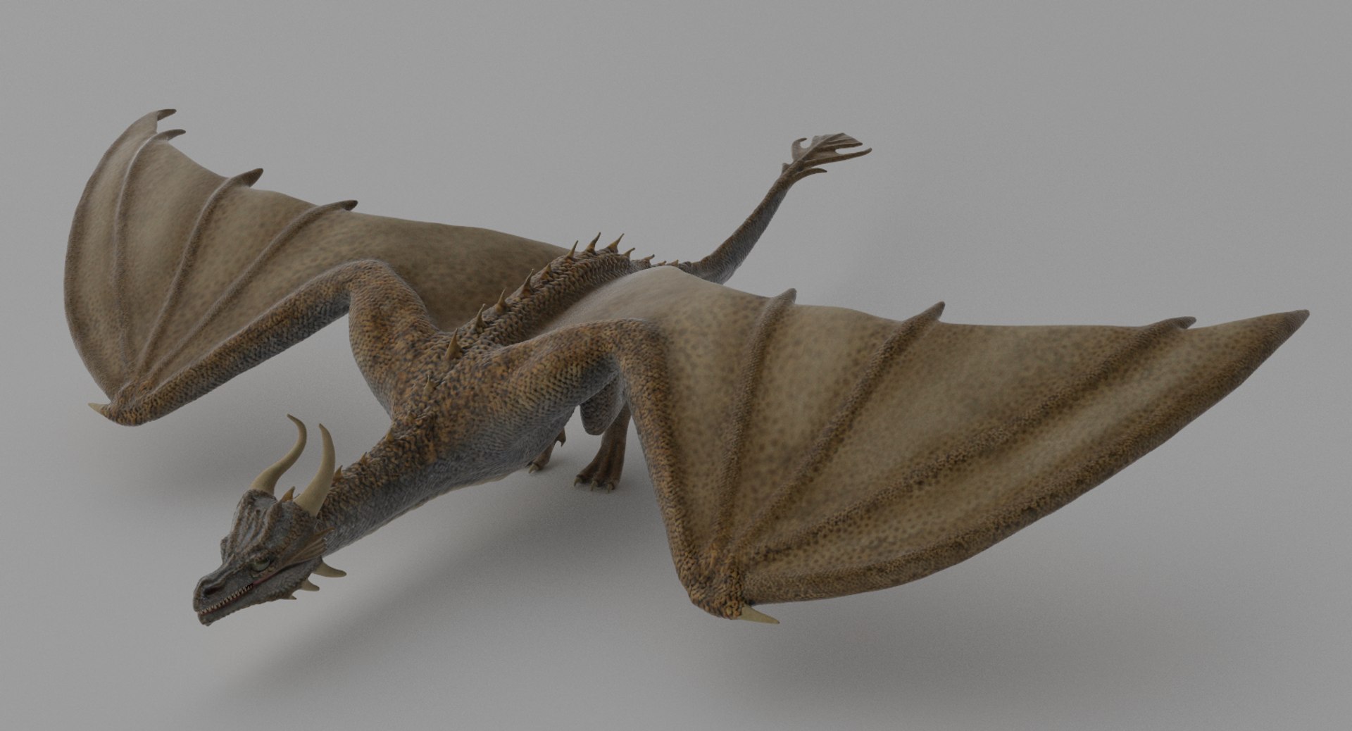 3D wyvern model - TurboSquid 1166178