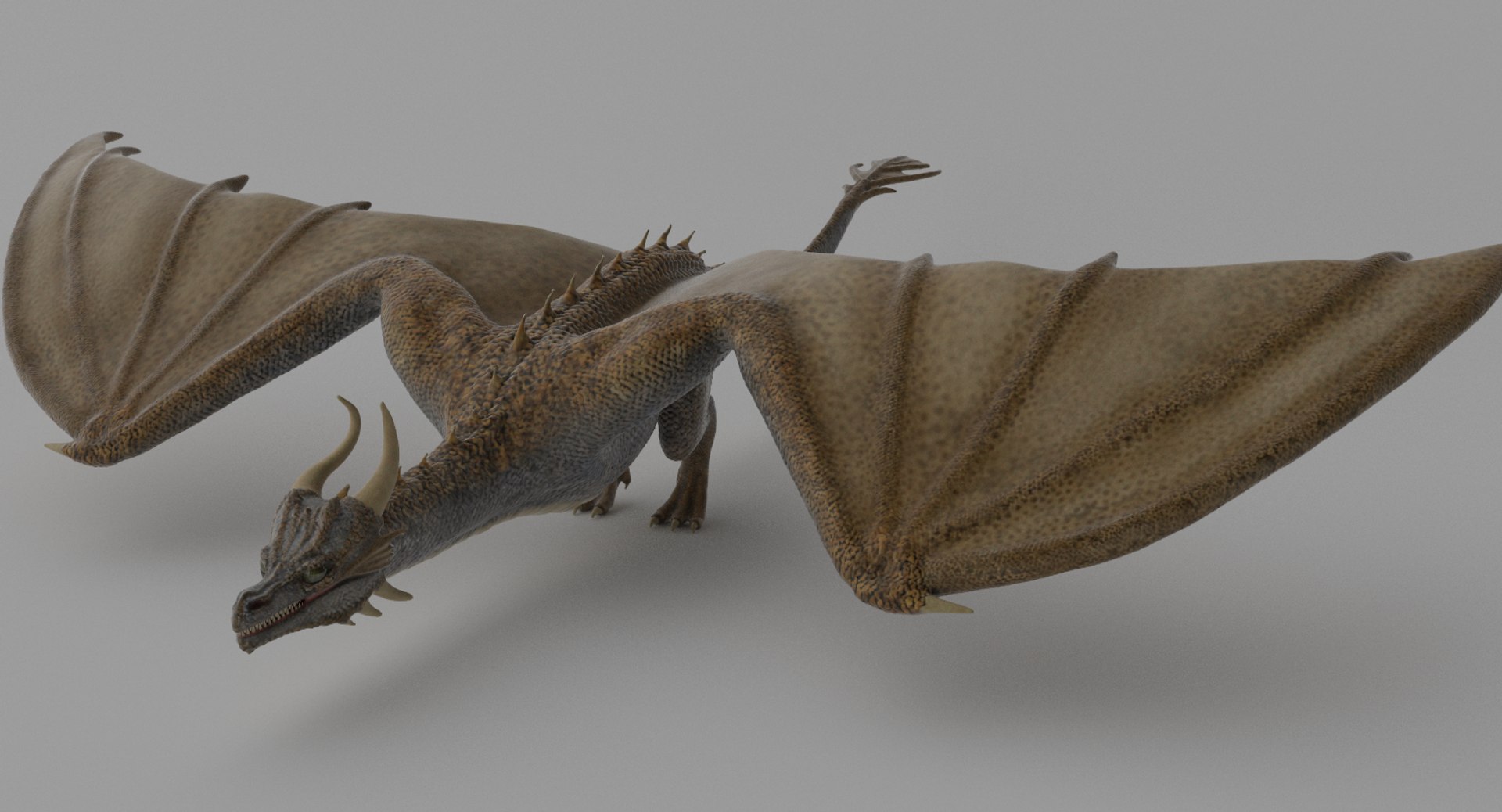 3D wyvern model - TurboSquid 1166178