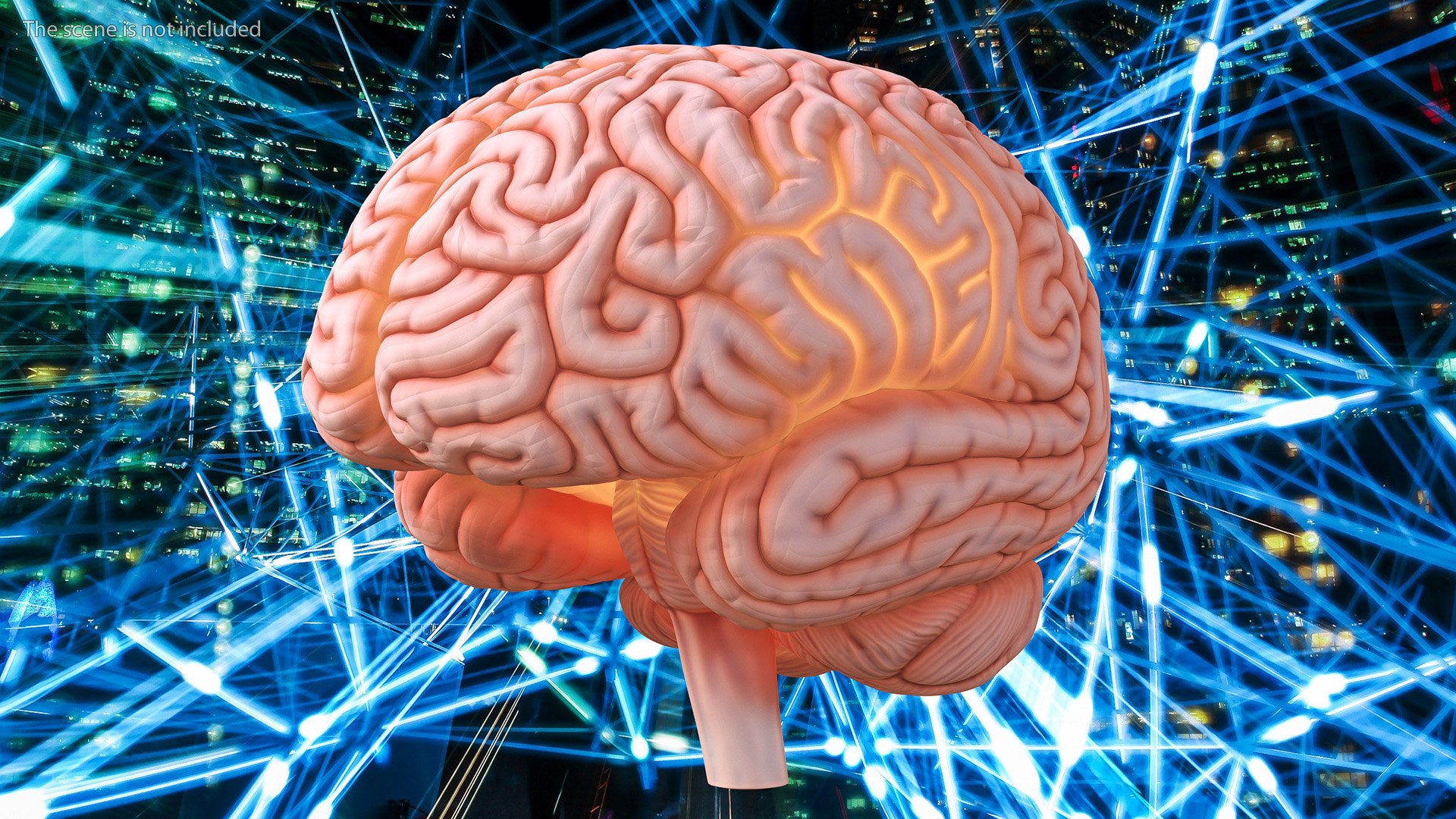 Human Brain Plastic Model With Light 3D Model - TurboSquid 2270133