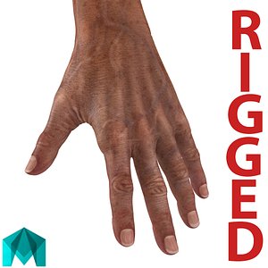 3d old man hands rigged model
