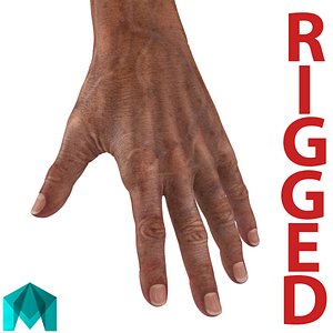Old Man Hands Rigged for Maya