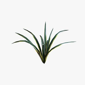 Grass (Ribbon Grass)