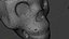3D Scanned Mexican Calavera Skull