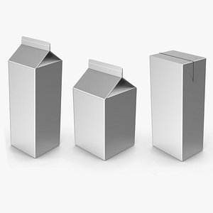 3D Silver Packages model