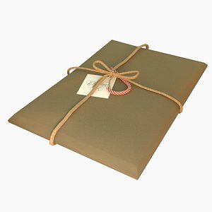 3D Christmas Gift model