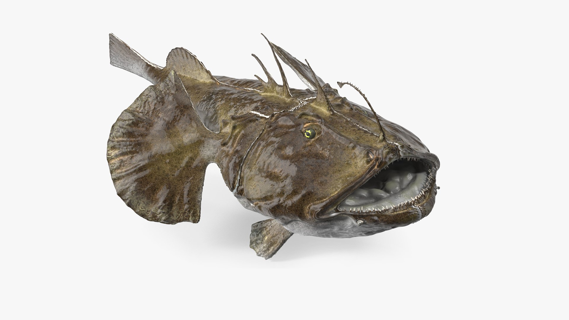 Angler Rigged for Maya 3D model preview