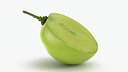 Green Grape Cross Section - 3D Scanned