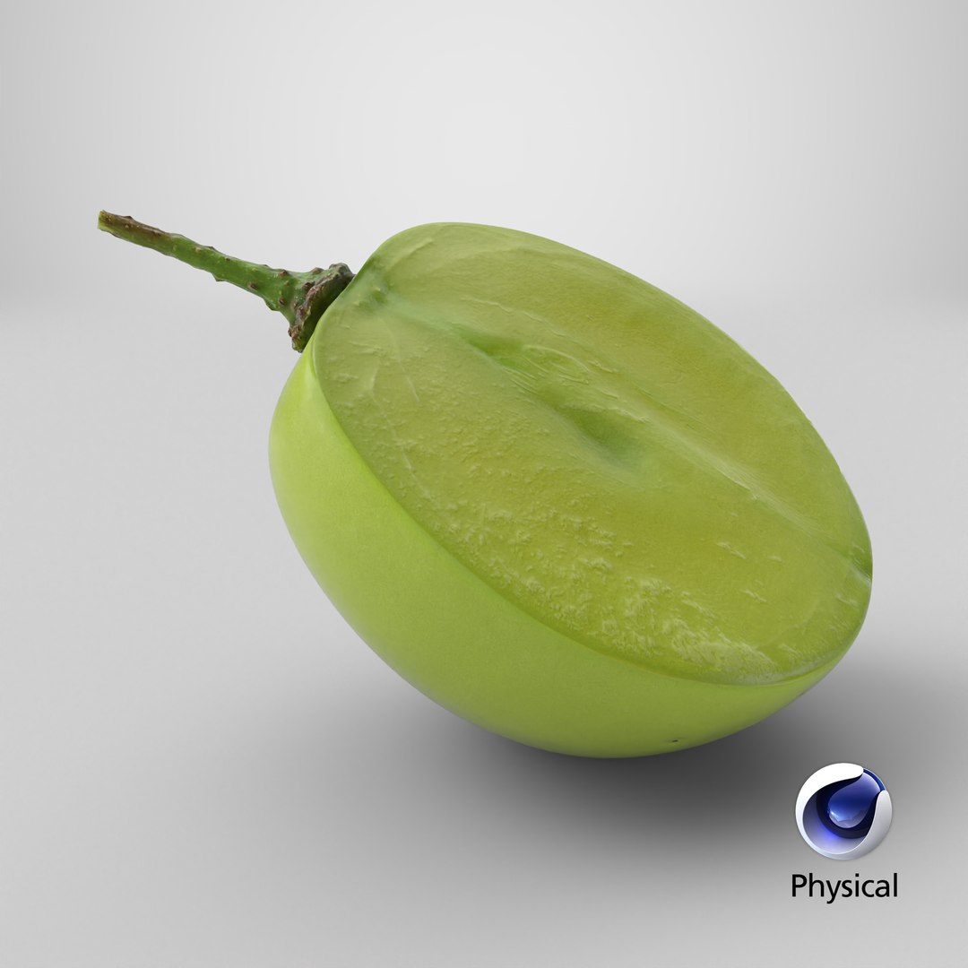 Green Grape Cross Section - 3D Scanned 3D model https://p.turbosquid.com/ts-thumb/bI/8KOhJf/4t/stemcell_cinema_4d_physical_render/png/1784298667/1920x1080/fit_q87/96d1402e578242ed81c631ed317ddc53119201fd/stemcell_cinema_4d_physical_render.jpg