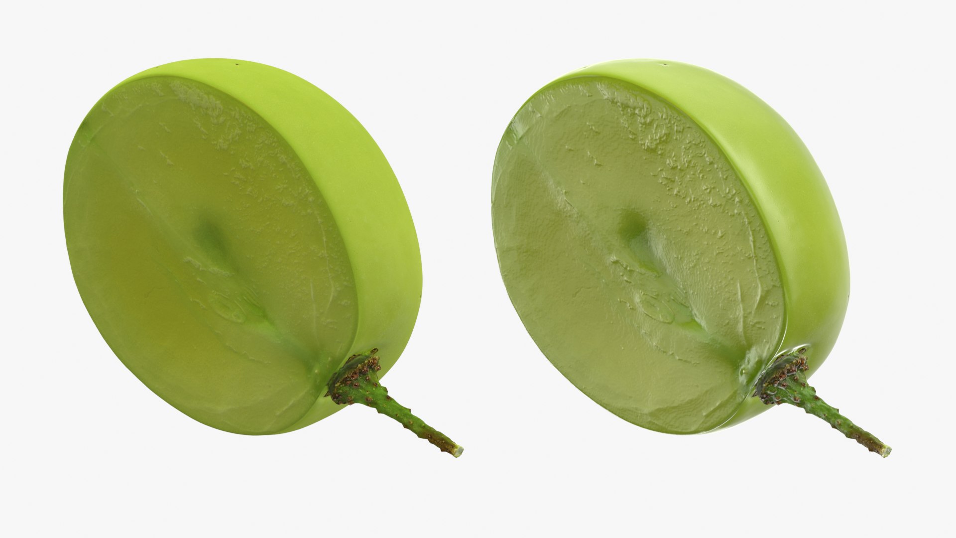 Green Grape Cross Section - 3D Scanned 3D model https://p.turbosquid.com/ts-thumb/bI/8KOhJf/PJ/cutgrapegreen_0001b/png/1782717416/1920x1080/fit_q87/bfb115e3816132aac86a7f23e7798b2c40df7a35/cutgrapegreen_0001b.jpg