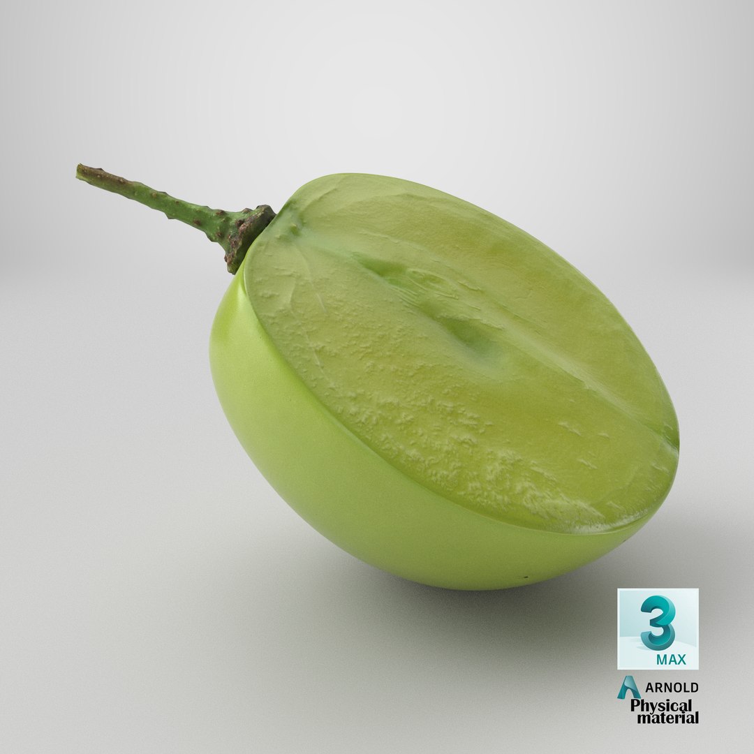 Green Grape Cross Section - 3D Scanned 3D model https://p.turbosquid.com/ts-thumb/bI/8KOhJf/iA/stemcell_max_physical_render/png/1784298672/1920x1080/fit_q87/7591db0b81e9d1813e3f28b9b7ec4b095b867236/stemcell_max_physical_render.jpg