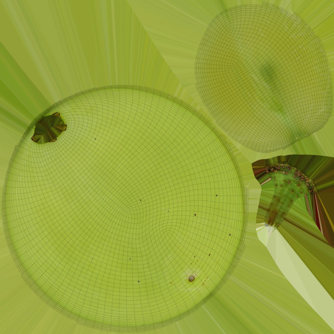 Green Grape Cross Section - 3D Scanned 3D model https://p.turbosquid.com/ts-thumb/bI/8KOhJf/xJ/cutgrapegreen_e0004/png/1782717443/1920x1080/fit_q87/2b3a3bbaed71695103369eac7f20c431b89fe8ba/cutgrapegreen_e0004.jpg