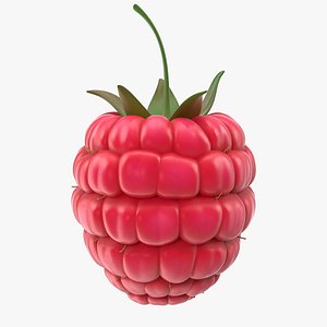 3D model fresh raspberry berry
