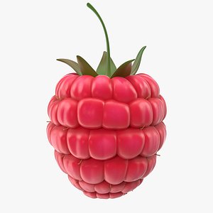 Fresh Cartoon Raspberry
