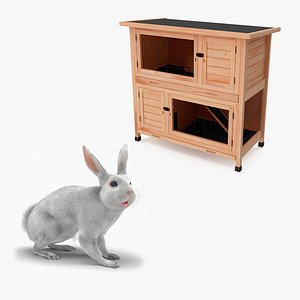 White Rabbit Rigged with Wooden Hutch Collection
