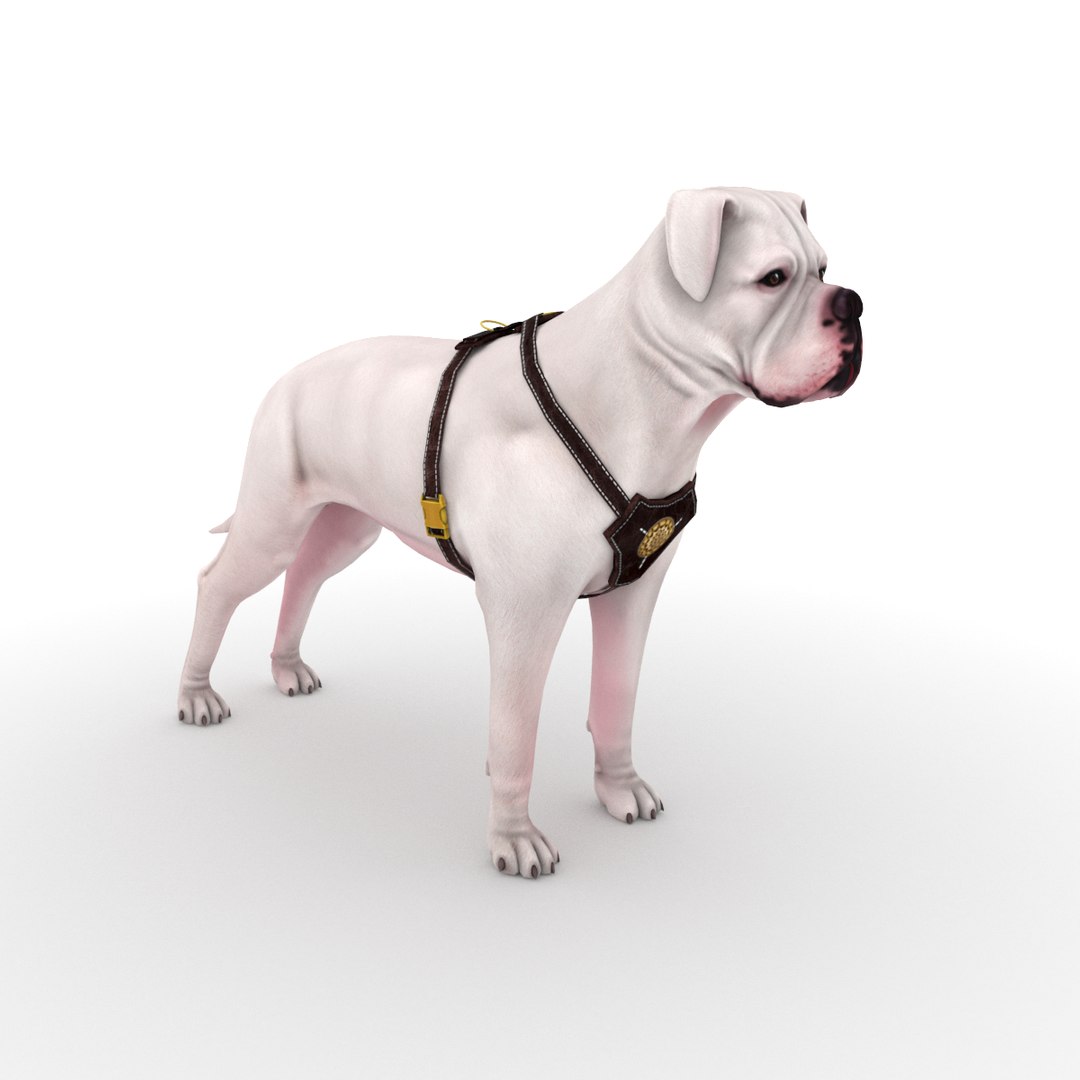 American bulldog harness cheap