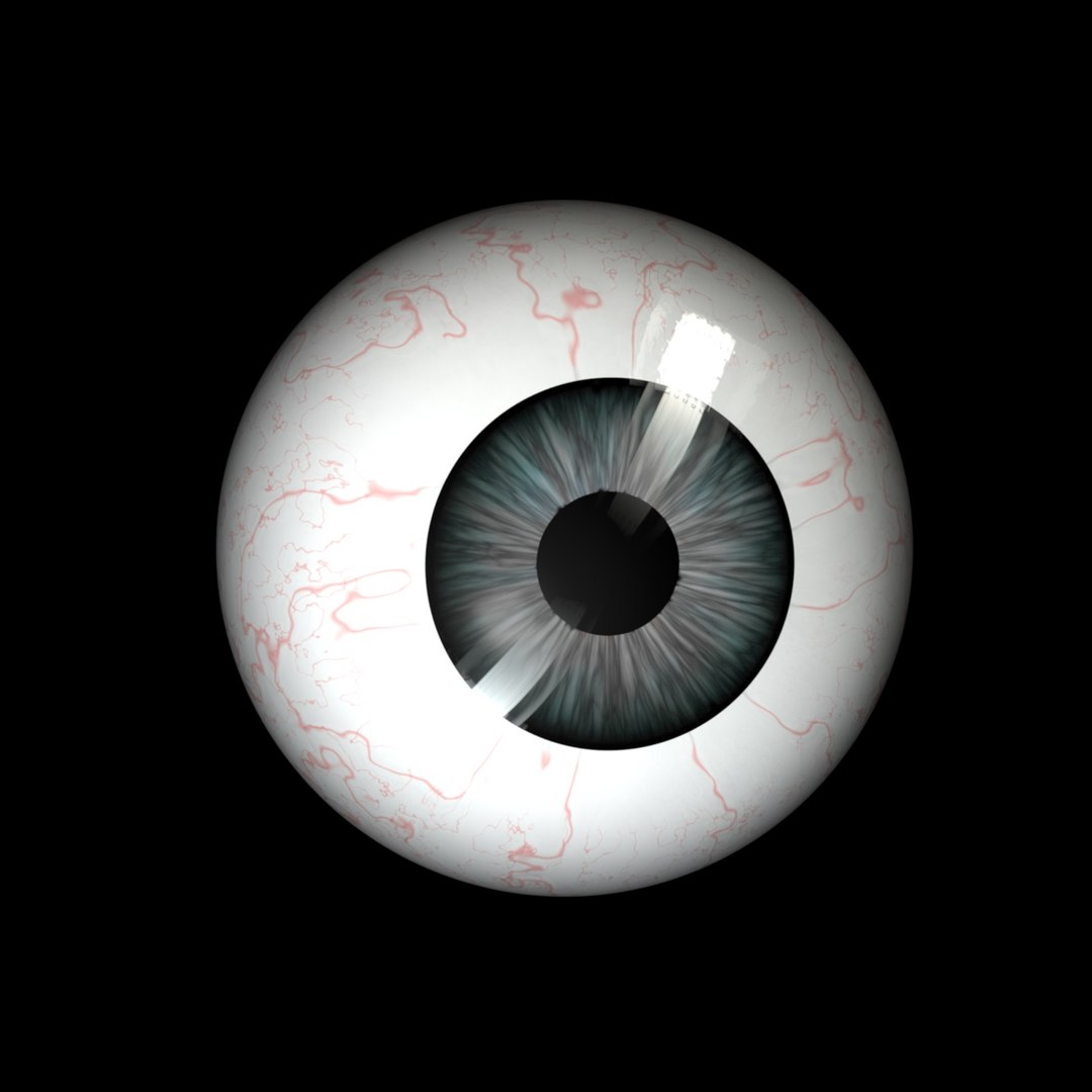 3d Model Realistic Human Eye