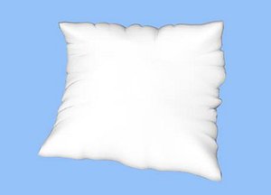 3d model pillow cushion