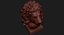 Lion Head Sculpture for 3d Printer