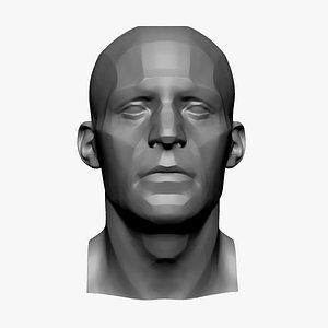3D Male Head Planes model